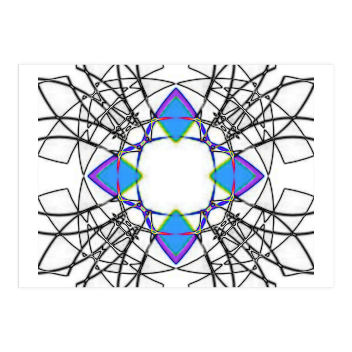 fiori.6 (Print Only)