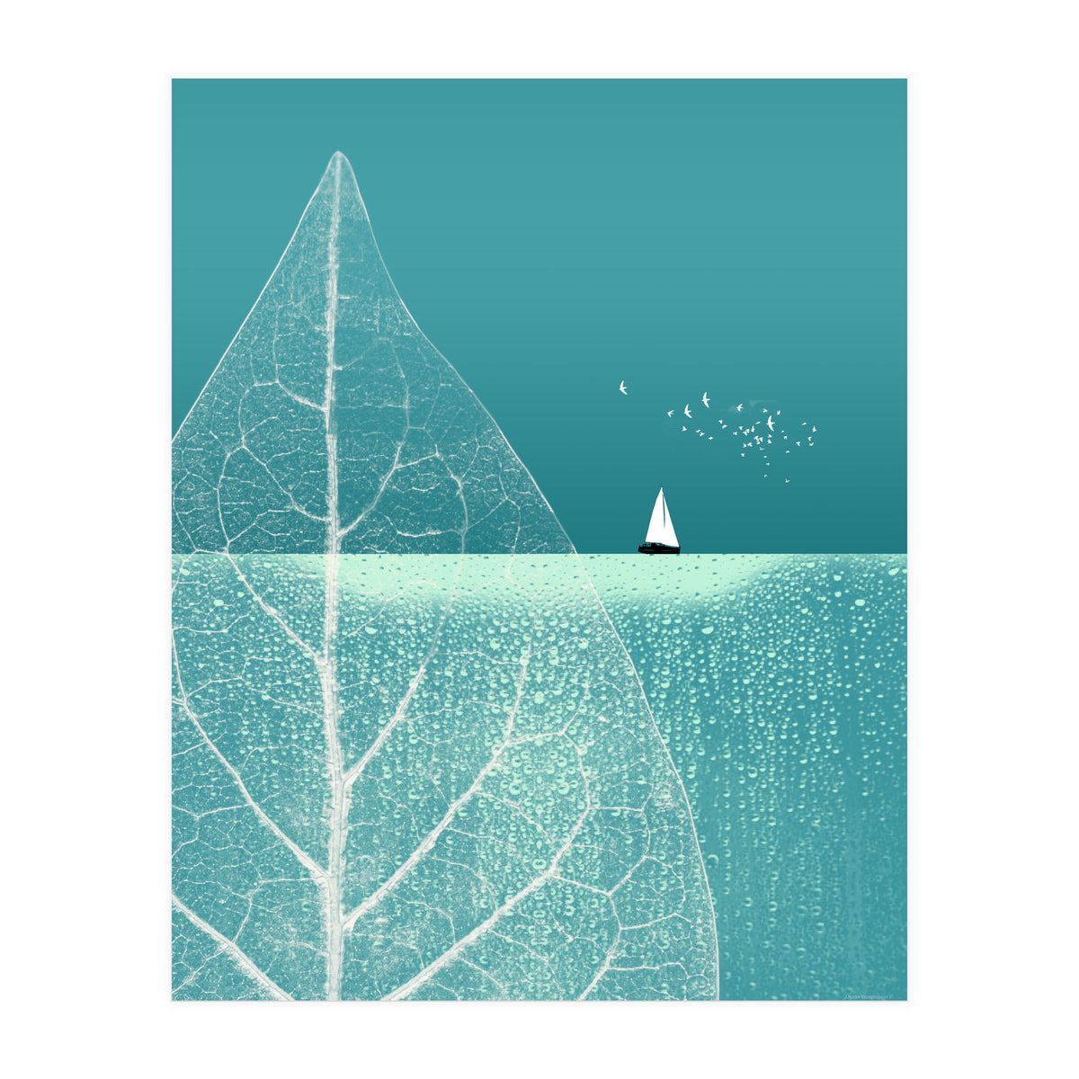 Ocean Wonderland II (Print Only)