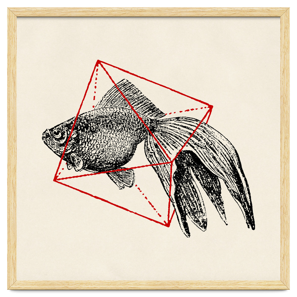Fish In Geometrics III (Square)