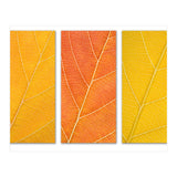 Autumn Leaves (Print Only) thumbnail