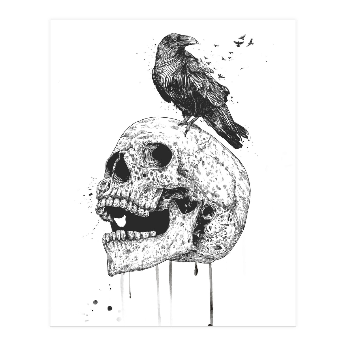 New Skull (bw) (Print Only)