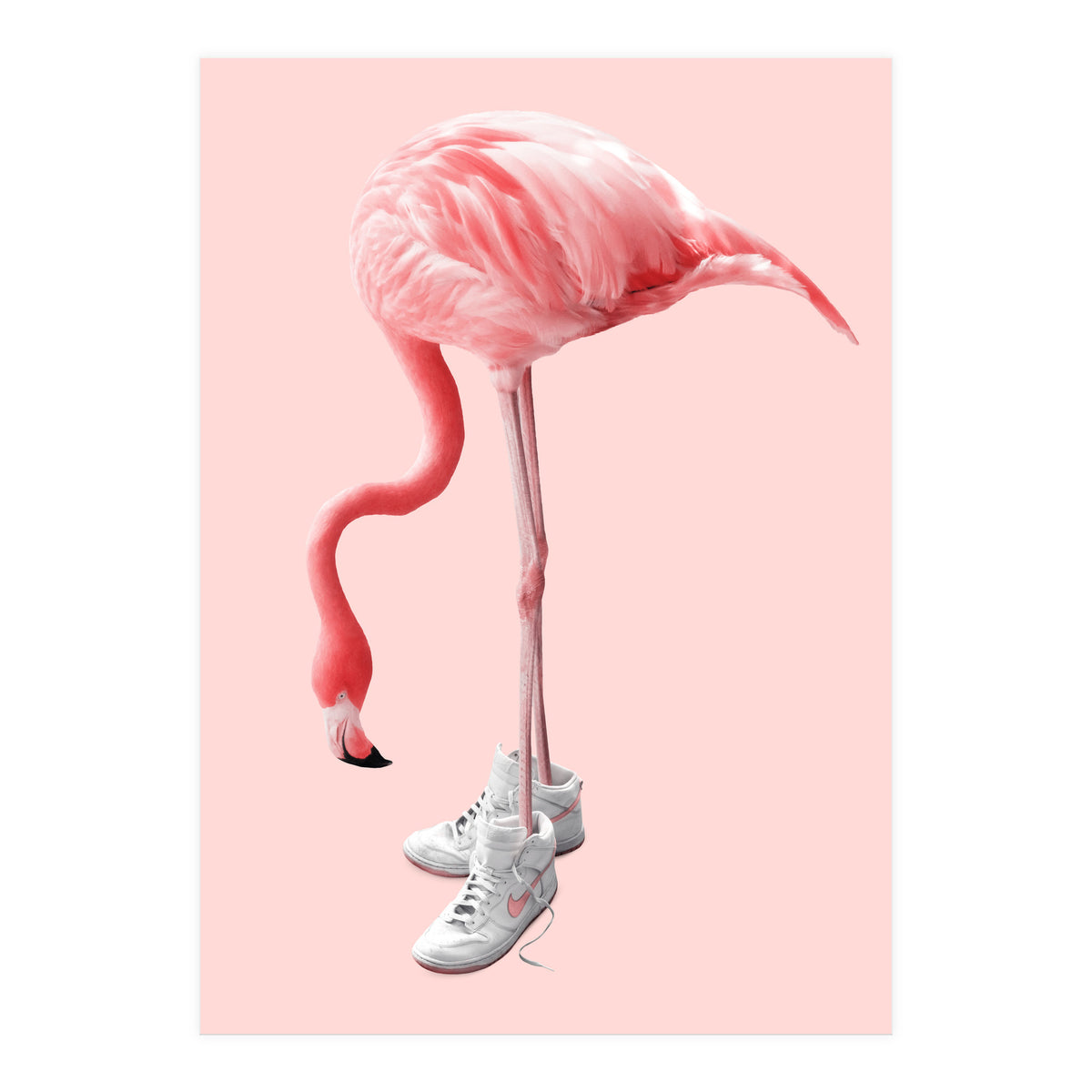Sneaker Flamingo (Print Only)