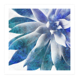 Rough Beauty 3 (Print Only) thumbnail