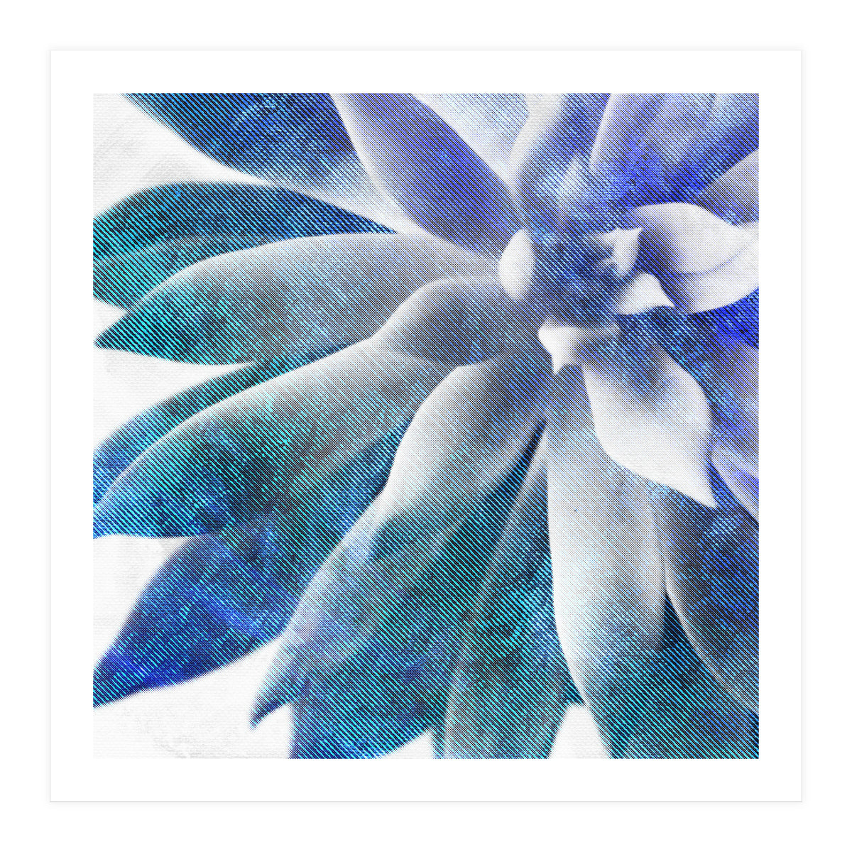 Rough Beauty 3 (Print Only)