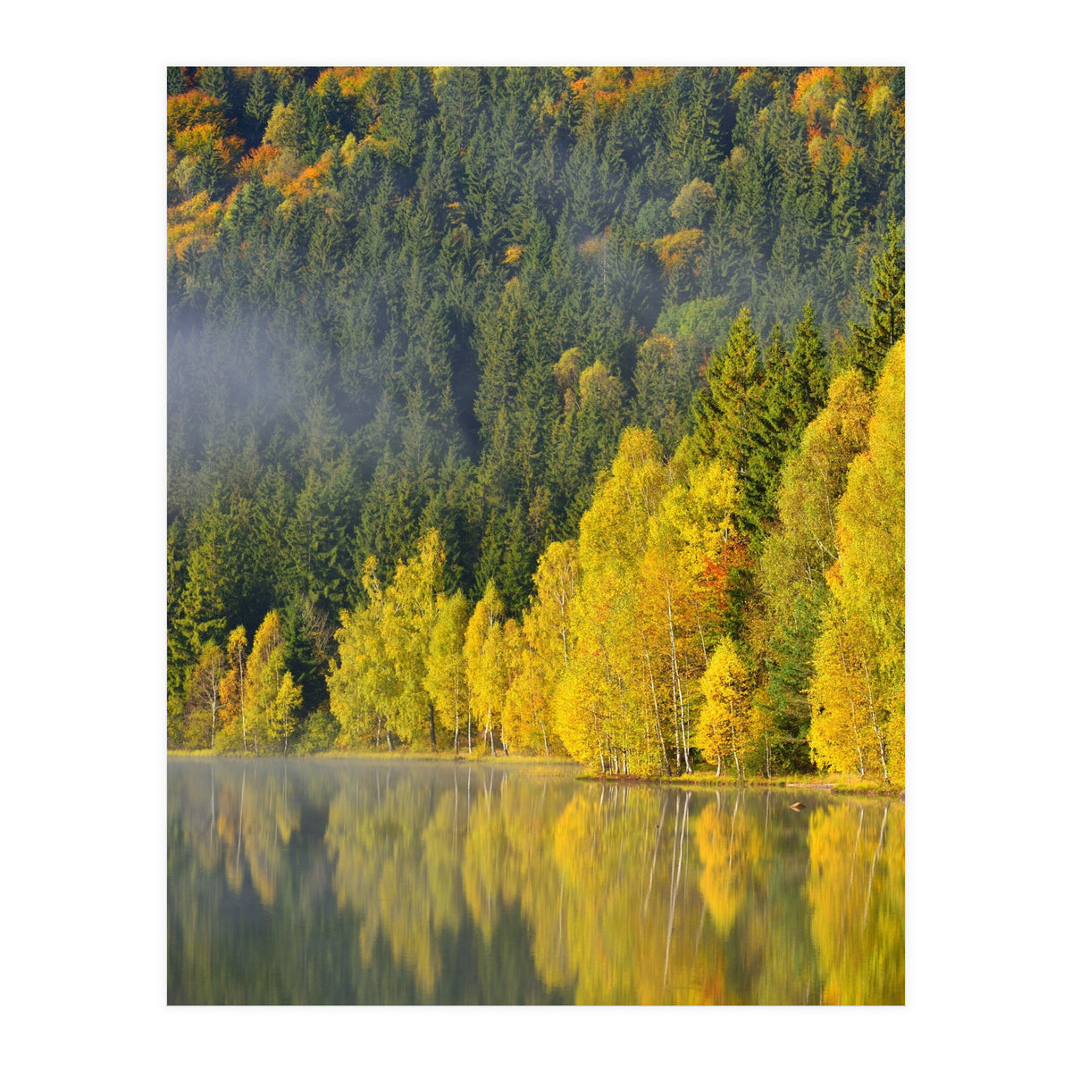 LAKE IN FOREST (Print Only)