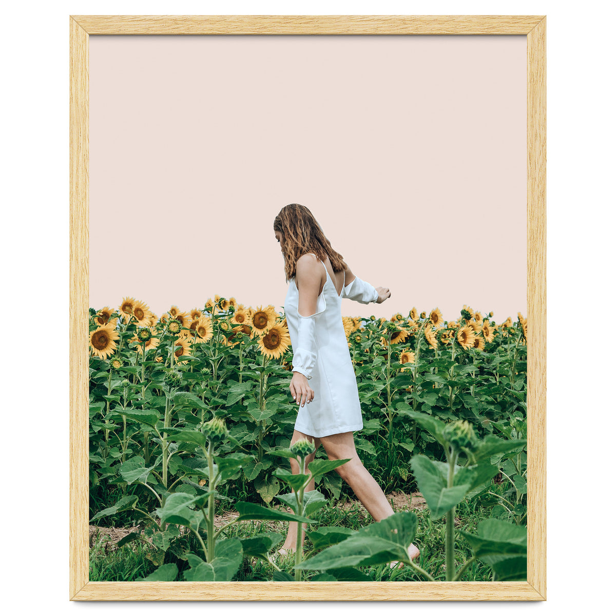 Lost In Sunflowers