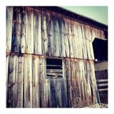 8 D13 Daf8 F8 F5 4621 A326 Cf1 B8 E3 C8084 (Print Only) thumbnail