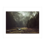 Foggy Forest Creek (Print Only) thumbnail