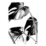 Black Tropical Leaves  (Print Only) thumbnail