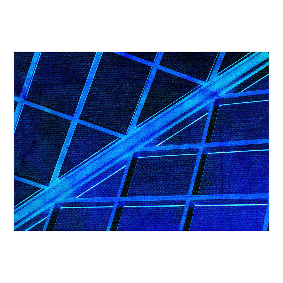 WTnight  (Print Only)