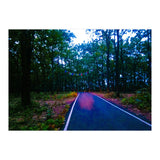 Into The Wild (Print Only) thumbnail