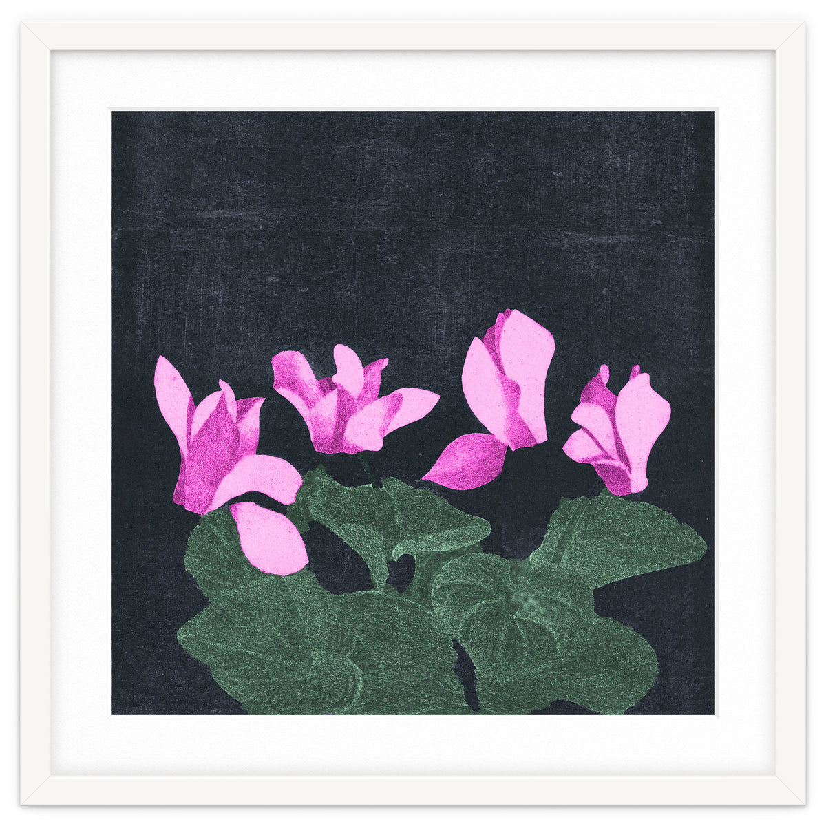 Cyclamen