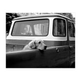 San Francisco (Print Only) thumbnail