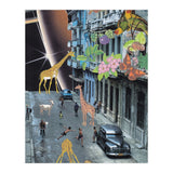 Havana (Print Only) thumbnail