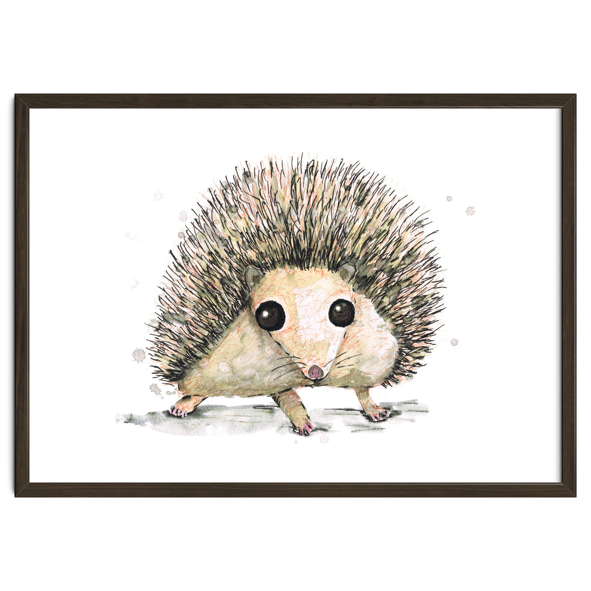 Hedgehog
