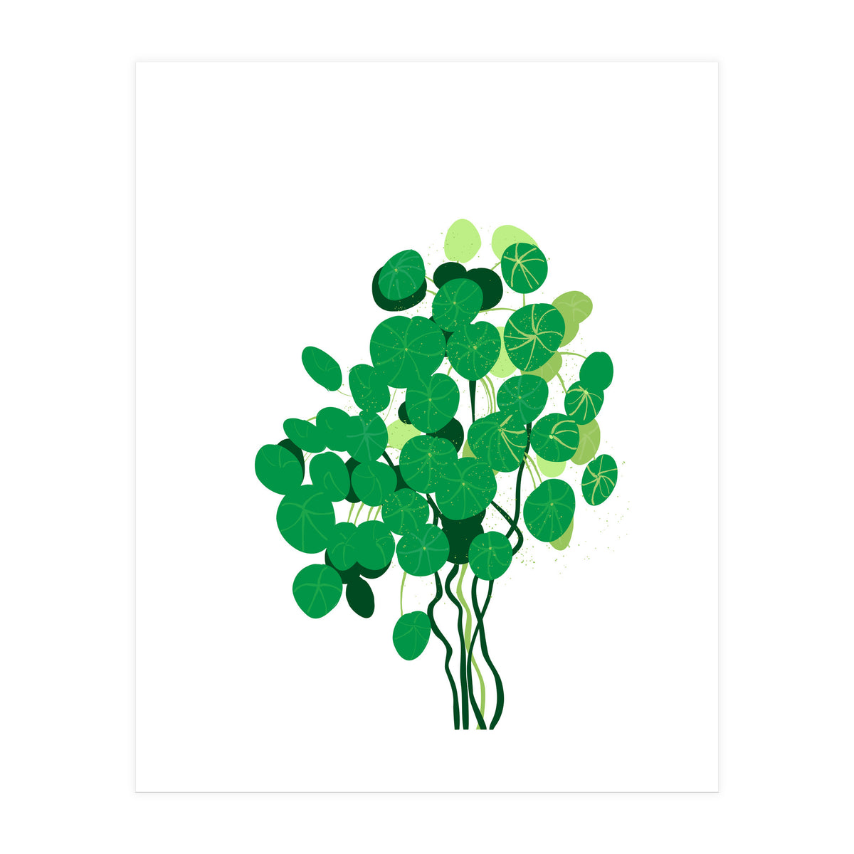 Pilea (Print Only)