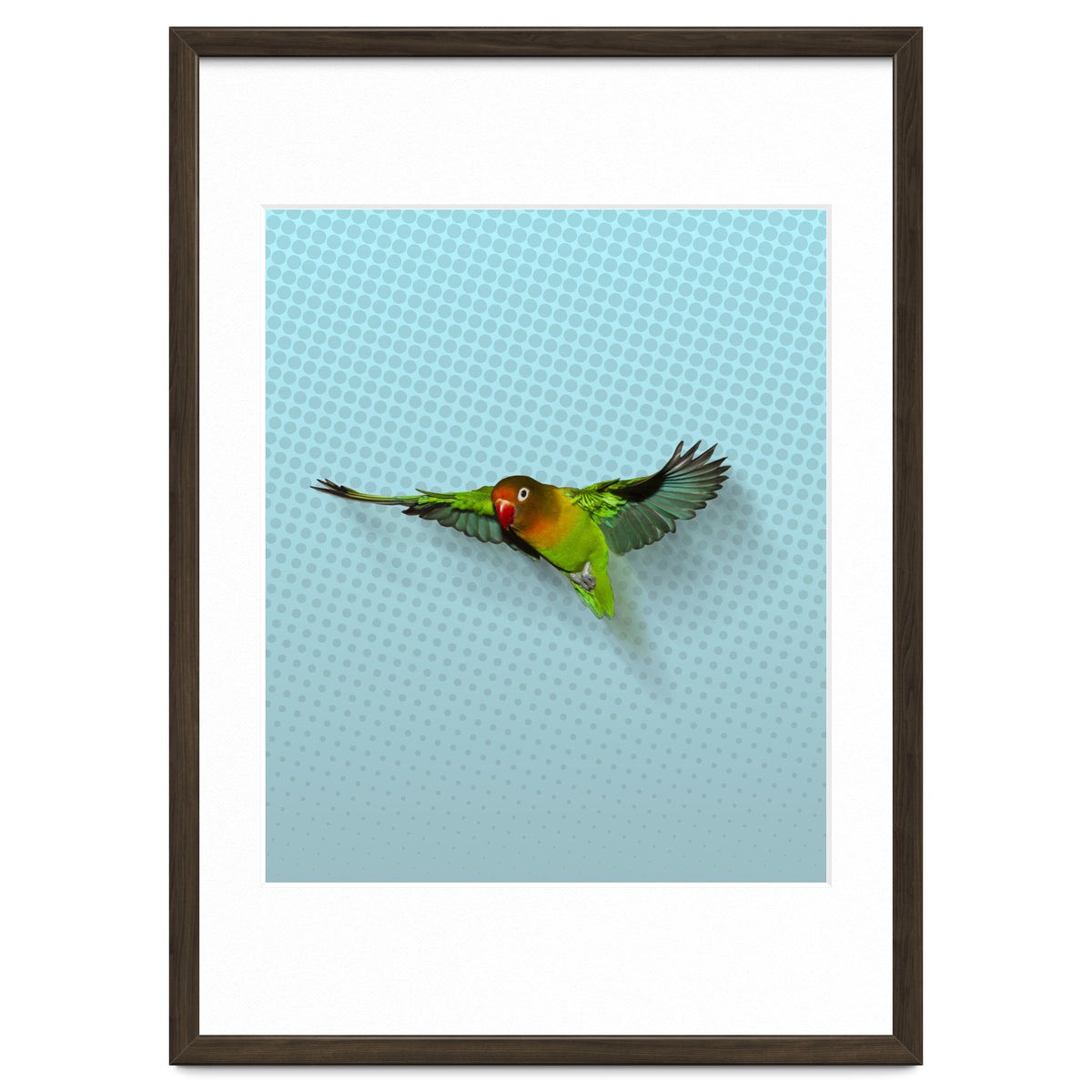 Flying lovebird