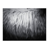 hair (Print Only) thumbnail