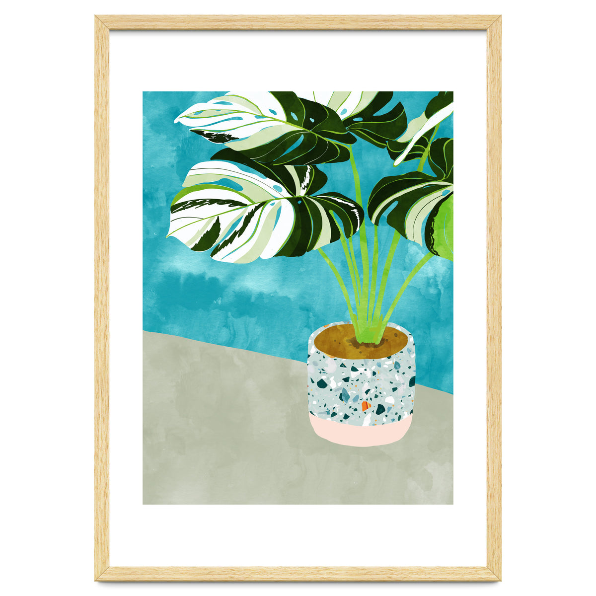 Variegated Monstera
