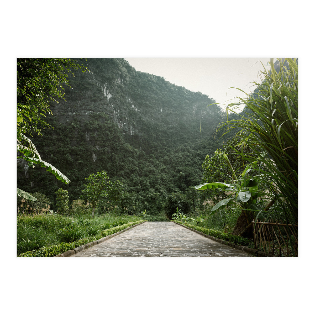 Greenscape (Print Only)