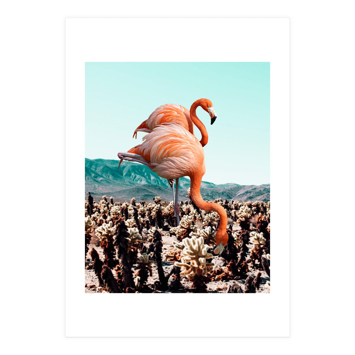Flamingos In The Desert (Print Only)