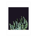 Dark Nature (Print Only) thumbnail