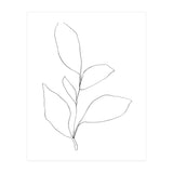 Five Leaf Plant (Print Only) thumbnail