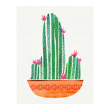 Tiny Cactus Blossoms (Print Only) thumbnail