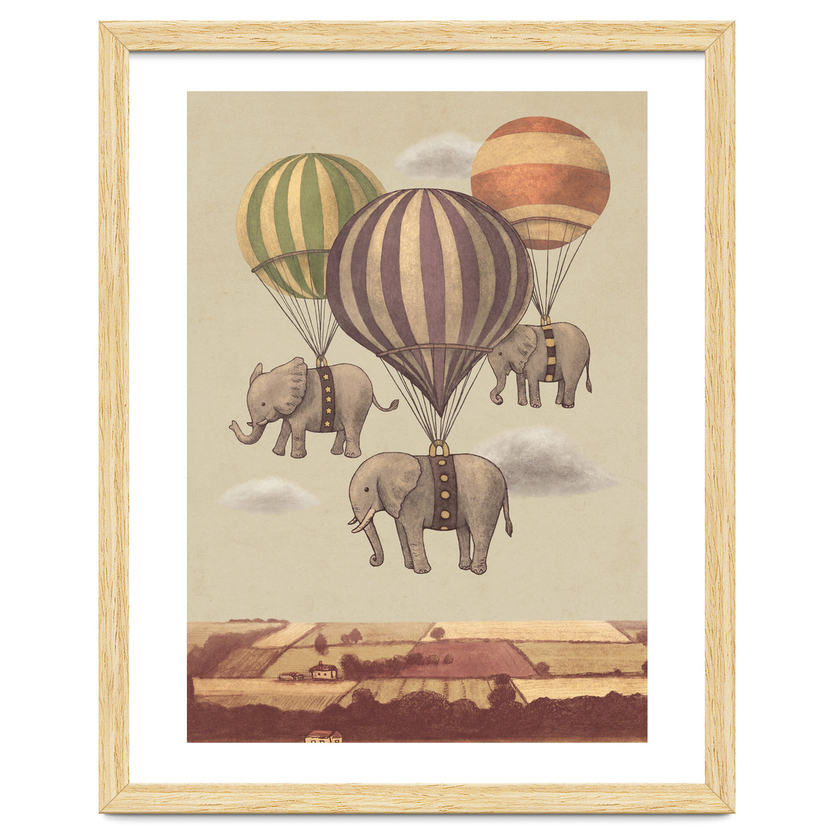 Flight Of The Elephants