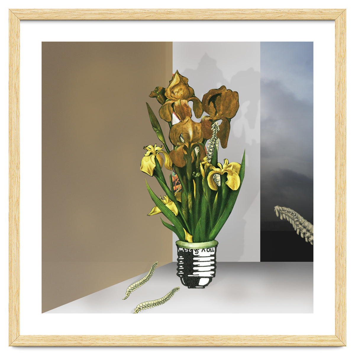 Das Licht Der Pflanze