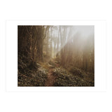 Mt. Davidson II (Print Only) thumbnail