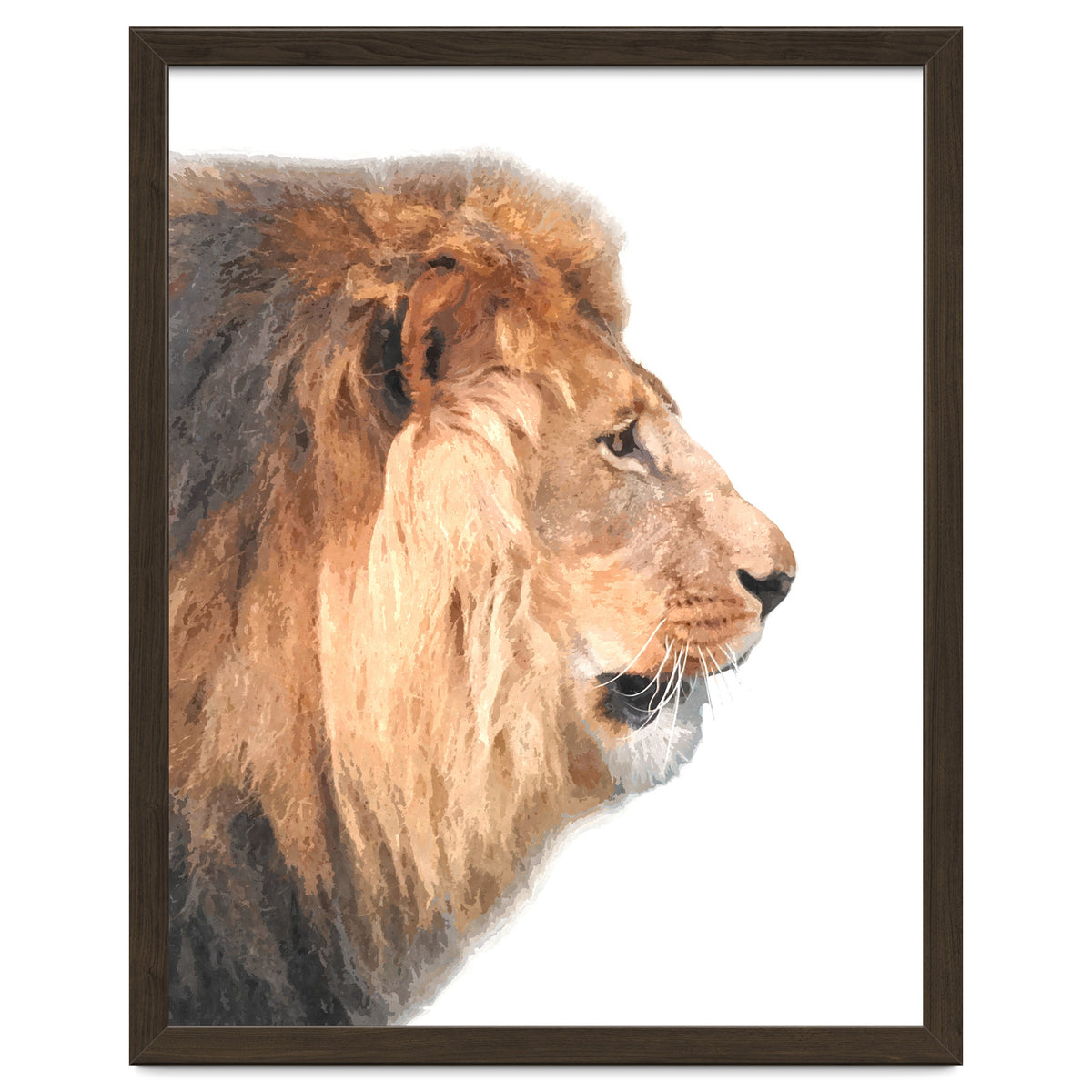 Lion Profile