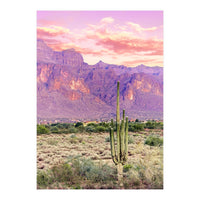 Cactus Sunset (Print Only)