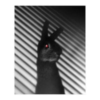 Shadow Bunny (Print Only)