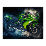 Kawasaki Ninja 2 (Print Only) thumbnail
