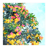 Summer Bougainvillea Watercolor Painting (Print Only) thumbnail