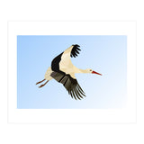 White Stork Bird Low Poly Art (Print Only) thumbnail