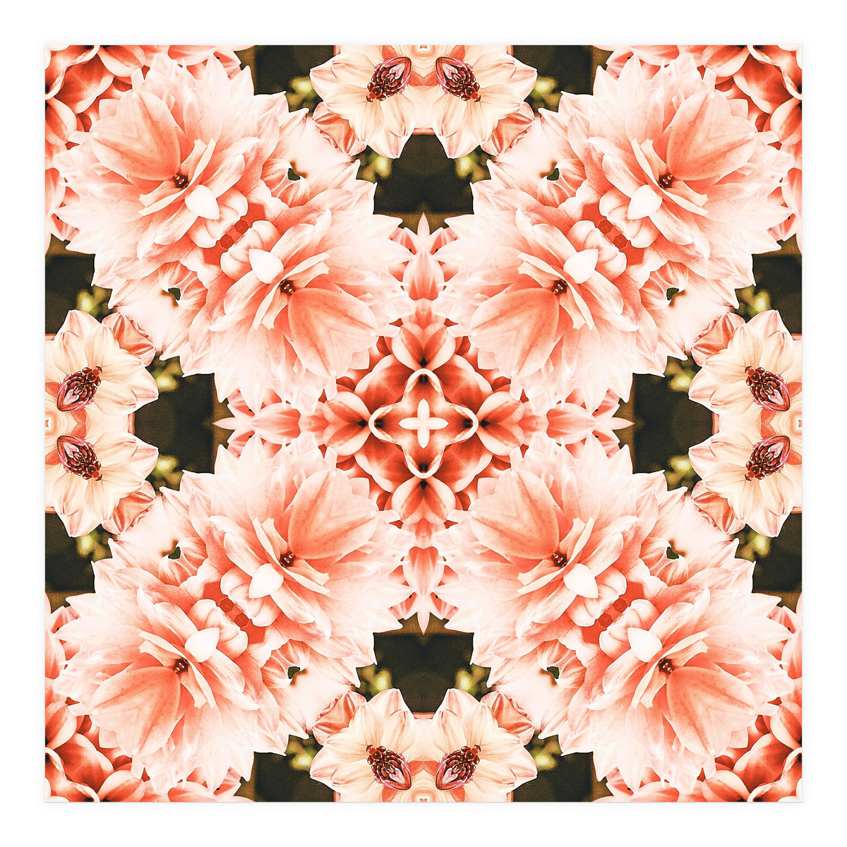Blush Mandala (Print Only)