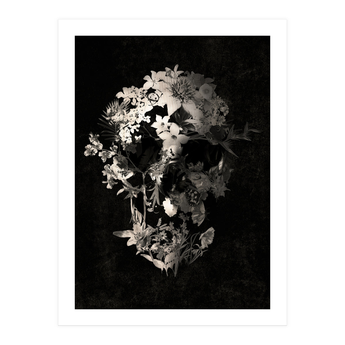 Spring Skull  (Print Only)