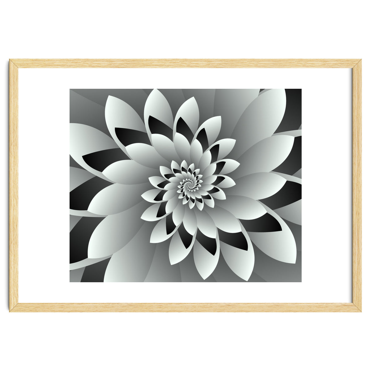 Black & White Floral