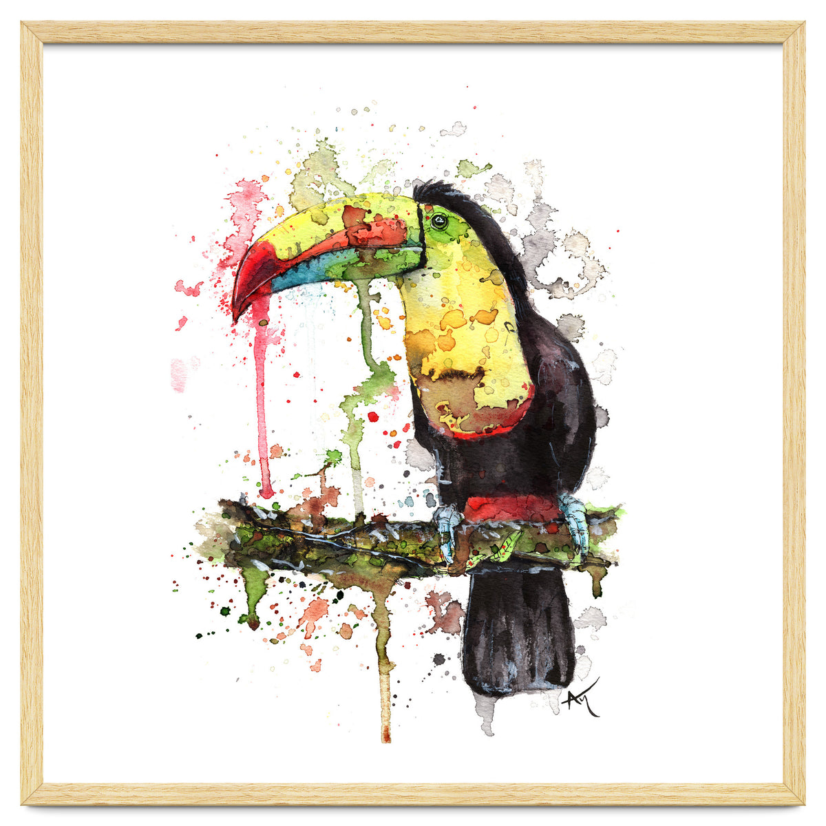 Toucan - Wildlife Collection