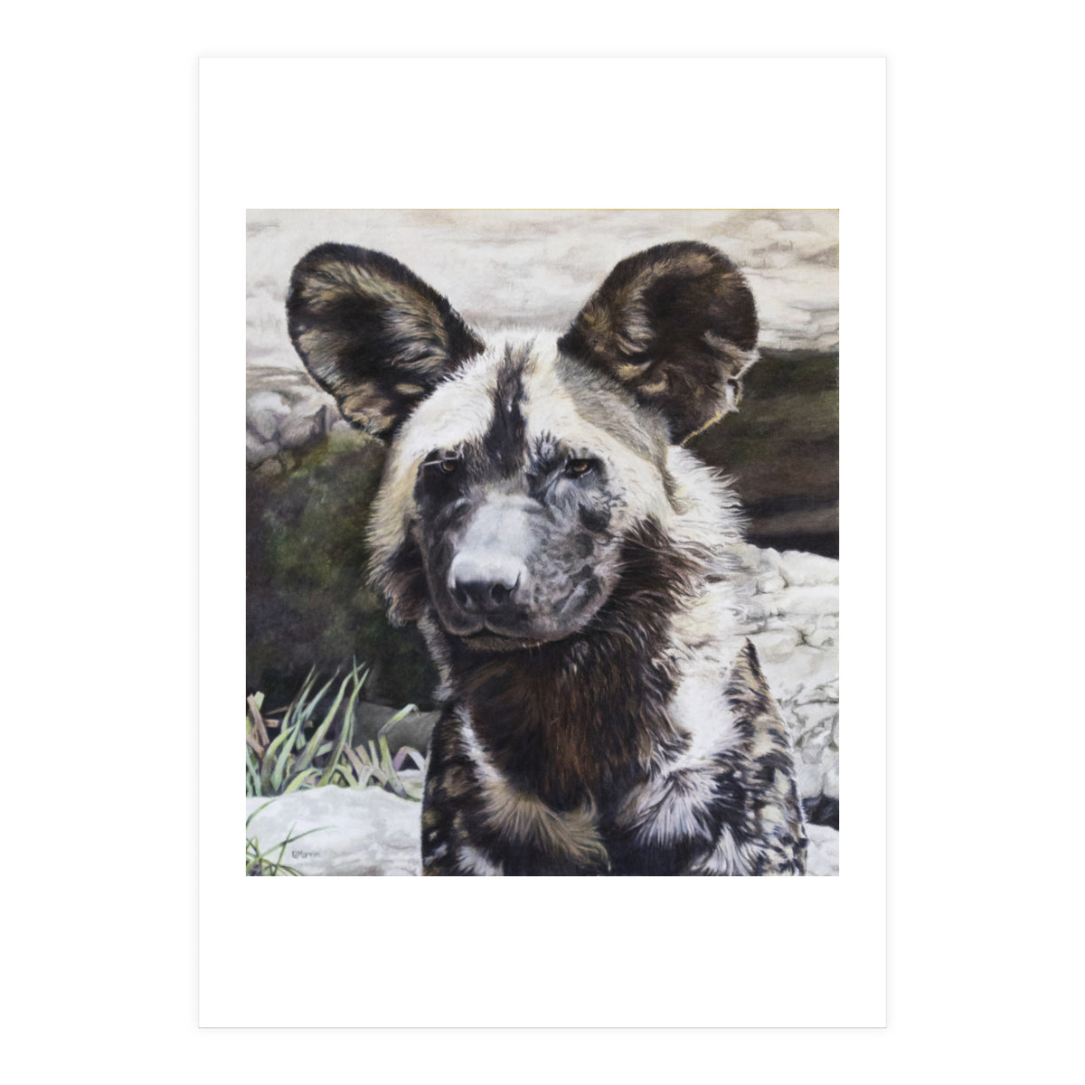 African Painted Dog II (Print Only)