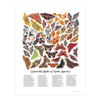 Saturniid Moths of North America (Print Only)