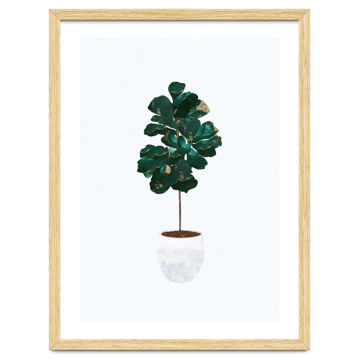 FIddle Leaf Fig gold and green