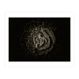 Backyard Flowers No 100 Sepia Version (Print Only) thumbnail