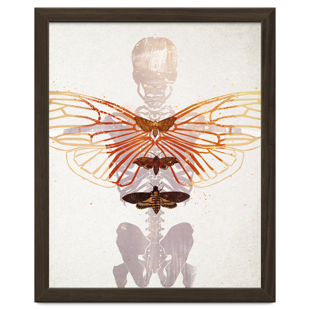 Ikarus - Like a Moth to the Flame