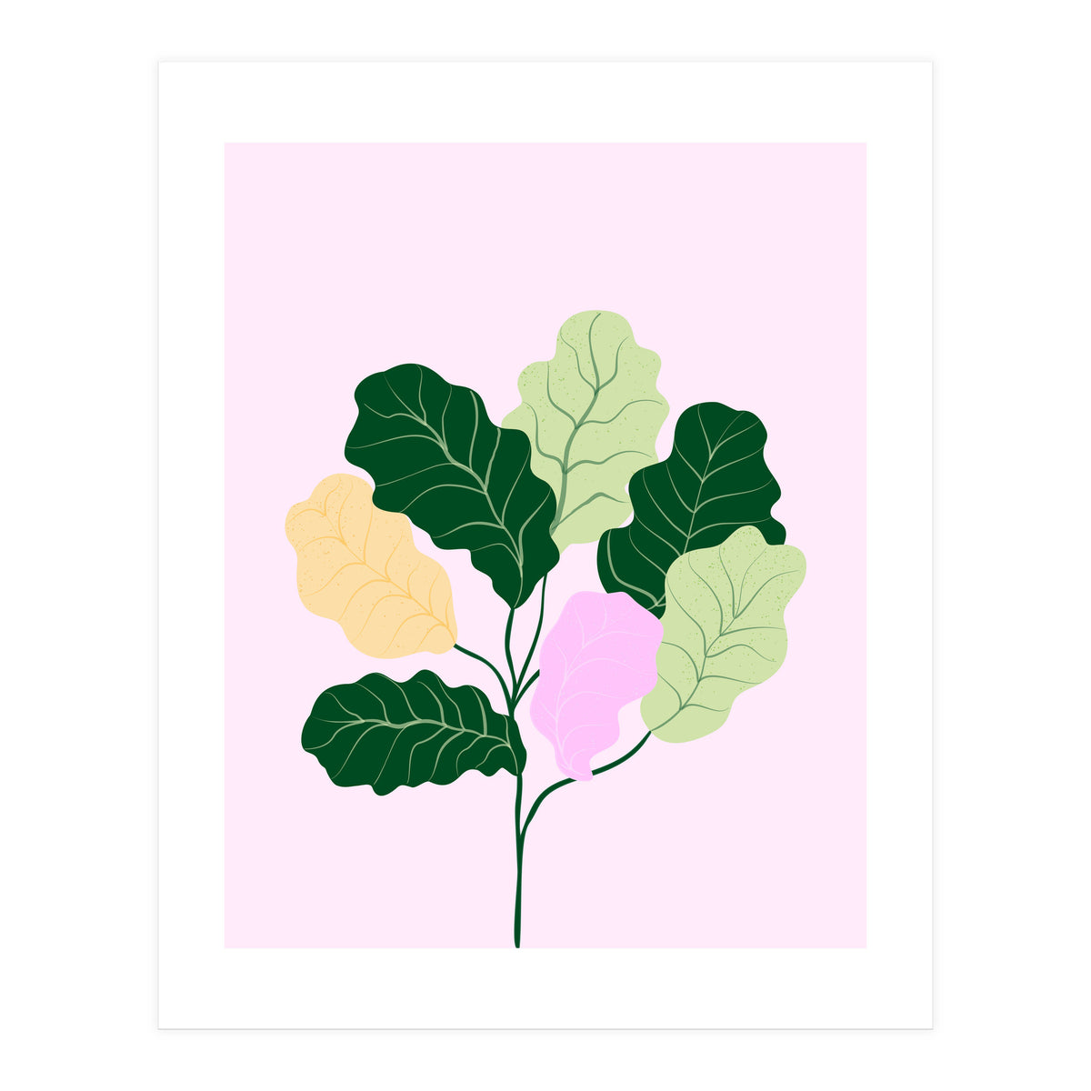 Figleaf (Print Only)