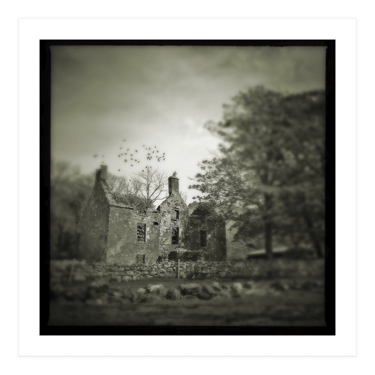 Gesto House (Print Only)