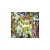 Scale (Print Only) thumbnail