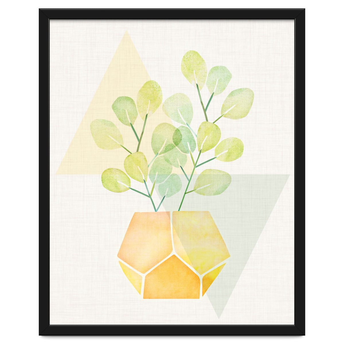 Geometry and House Plant